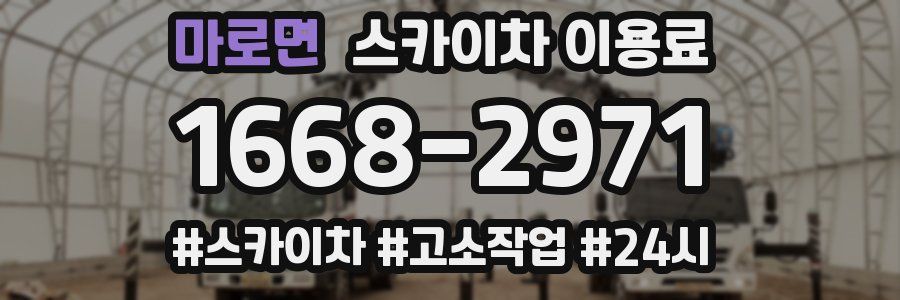마로면 스카이차 이용료