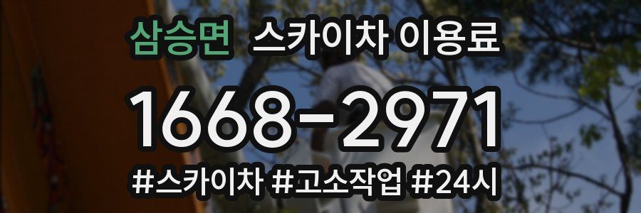 삼승면 스카이차 이용료