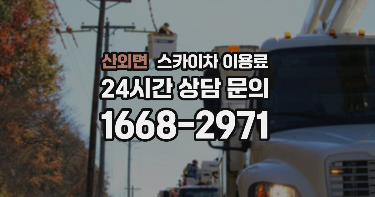 산외면 스카이차 이용료