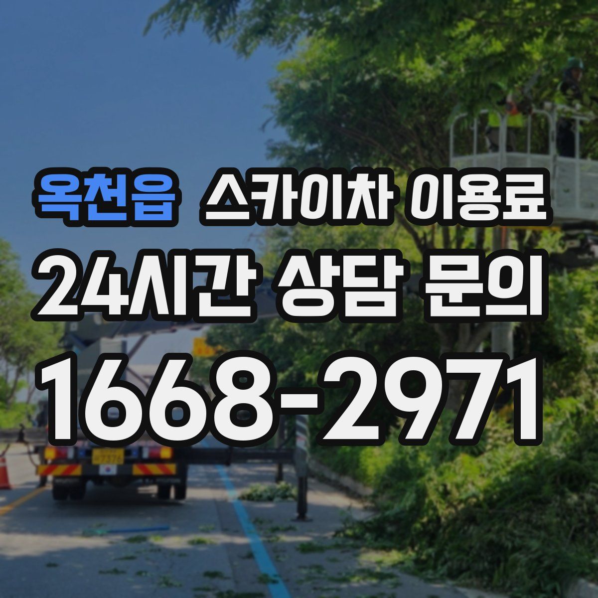 옥천읍 스카이차 이용료