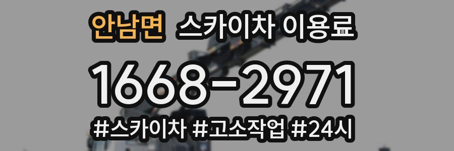 안남면 스카이차 이용료