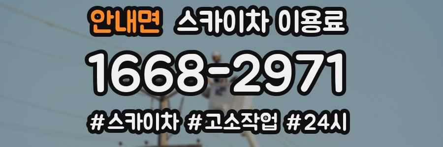 안내면 스카이차 이용료