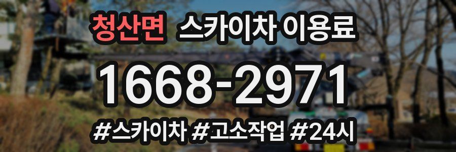 청산면 스카이차 이용료