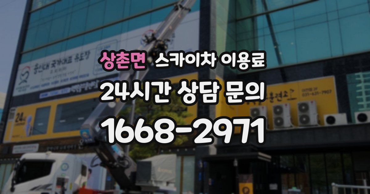 상촌면 스카이차 이용료