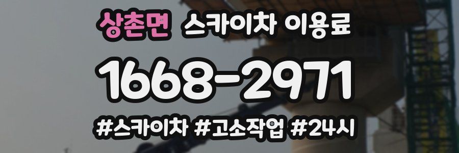 상촌면 스카이차 이용료