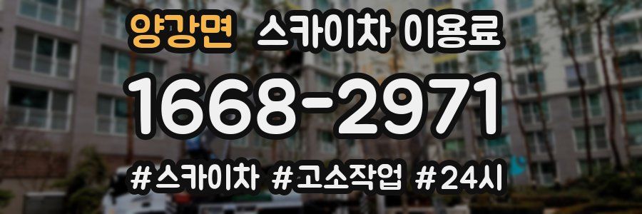 양강면 스카이차 이용료