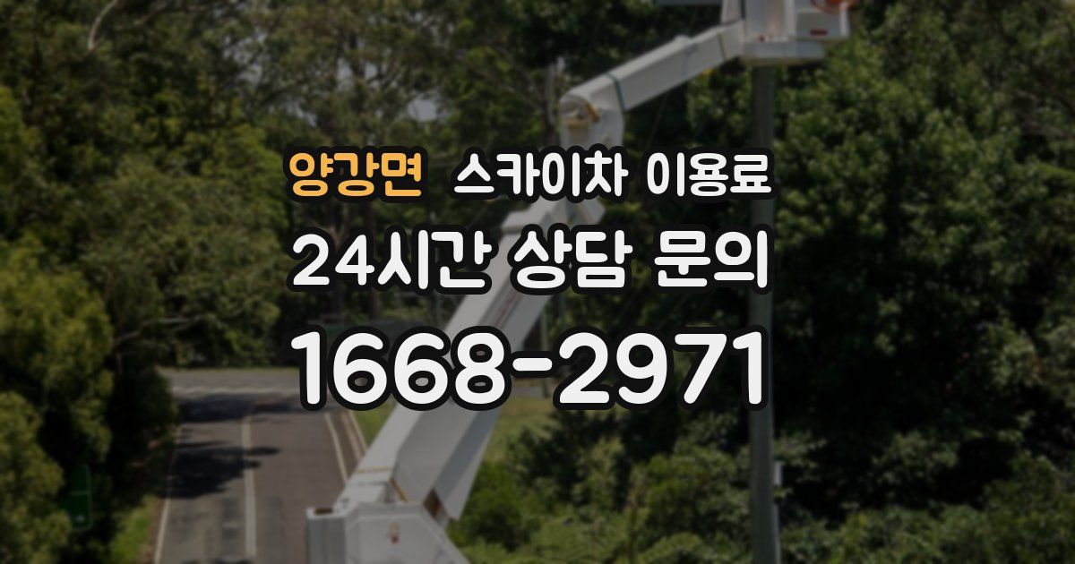 양강면 스카이차 이용료