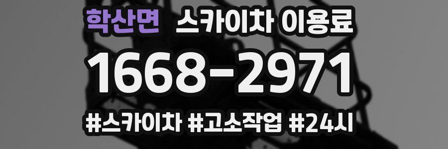 학산면 스카이차 이용료