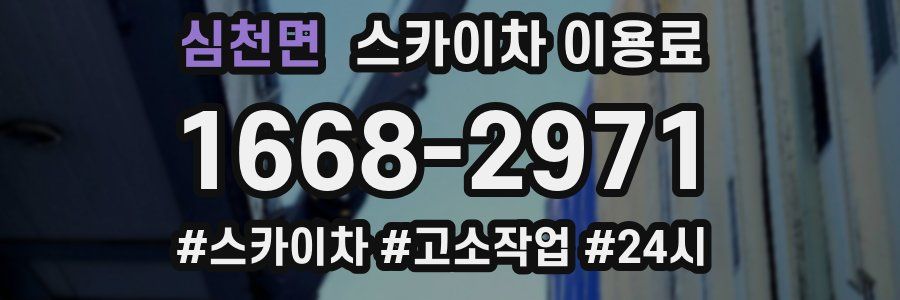 심천면 스카이차 이용료