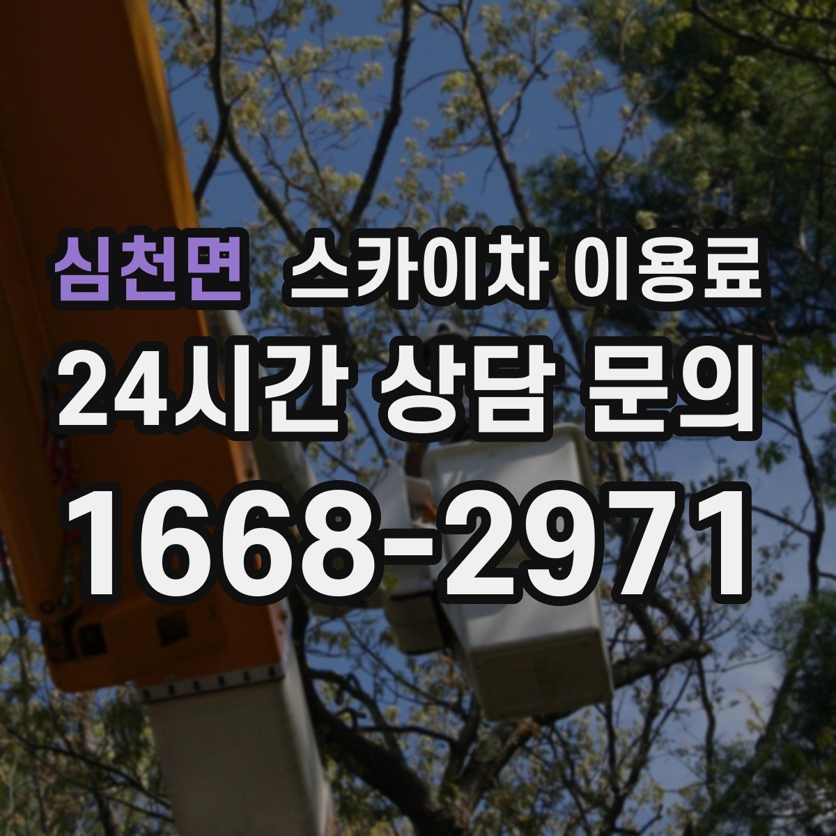 심천면 스카이차 이용료