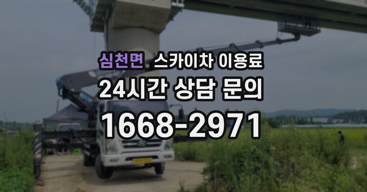 심천면 스카이차 이용료