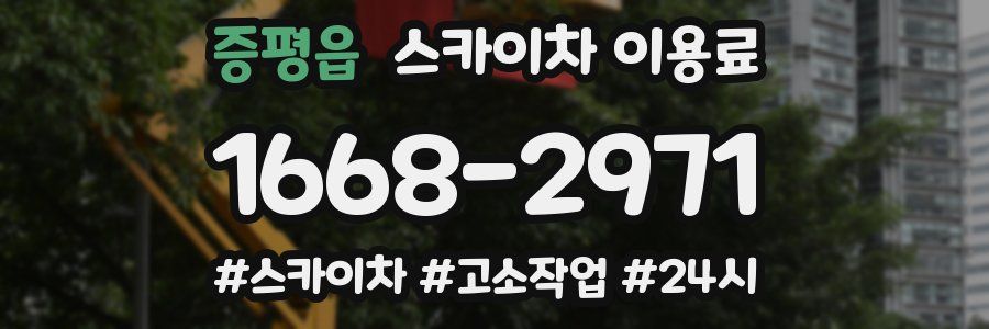 증평읍 스카이차 이용료