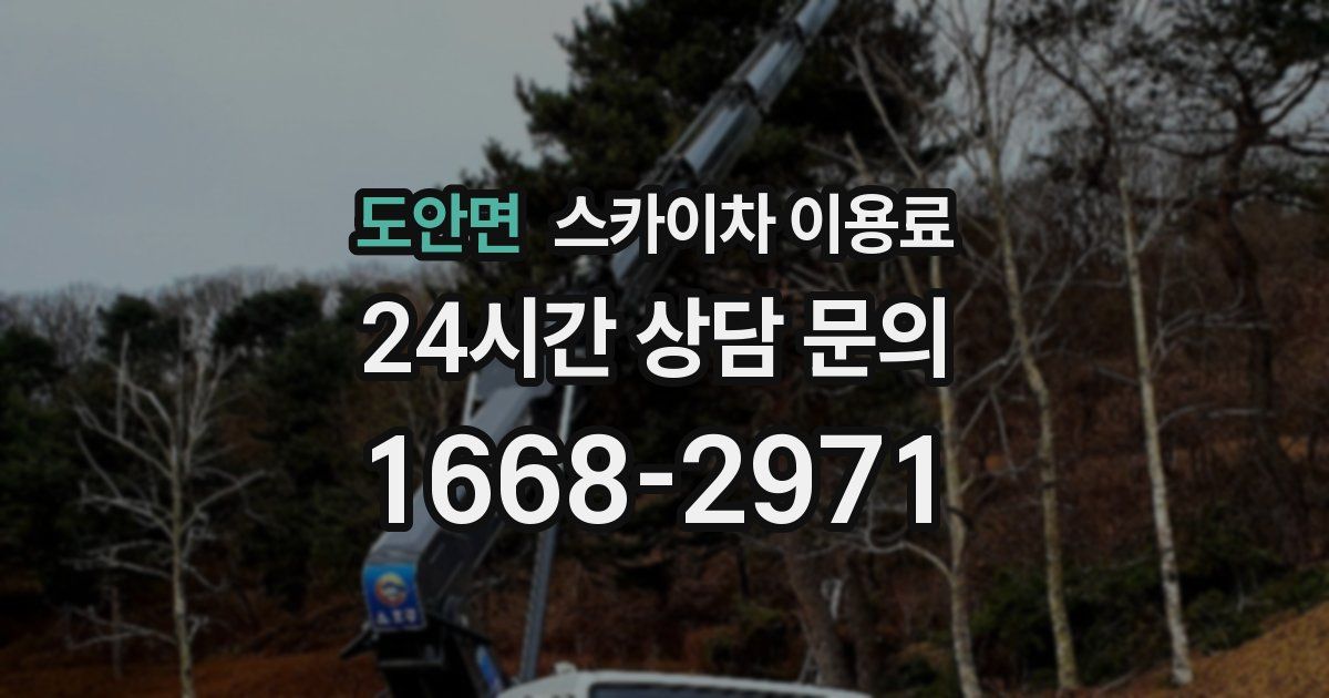 도안면 스카이차 이용료