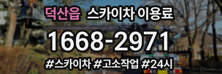 덕산읍 스카이차 이용료