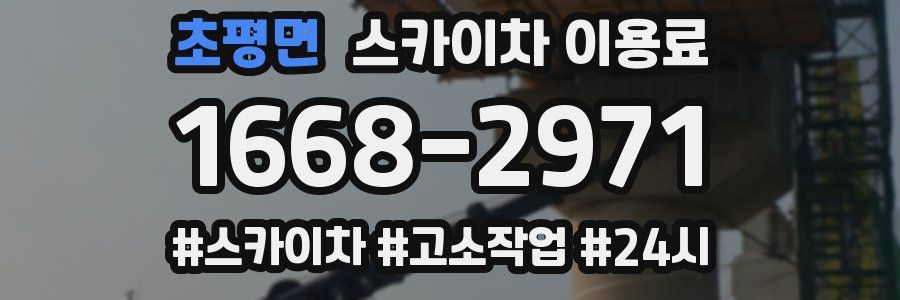 초평면 스카이차 이용료