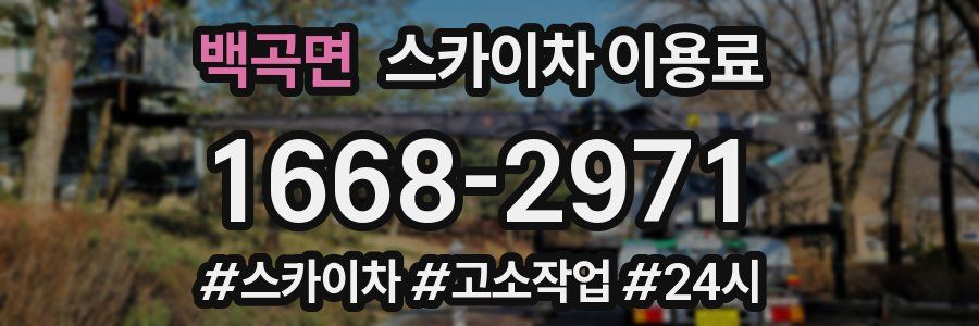 백곡면 스카이차 이용료