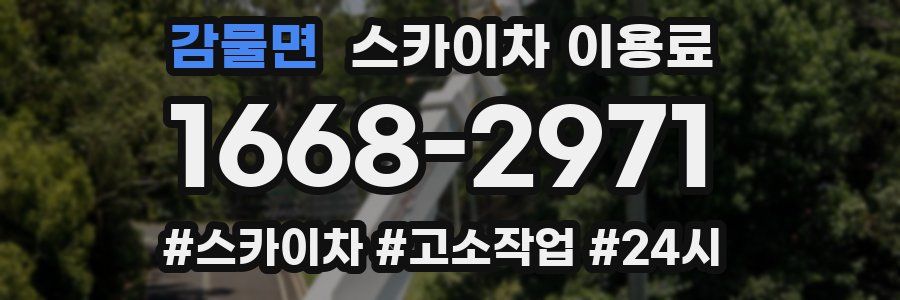 감물면 스카이차 이용료