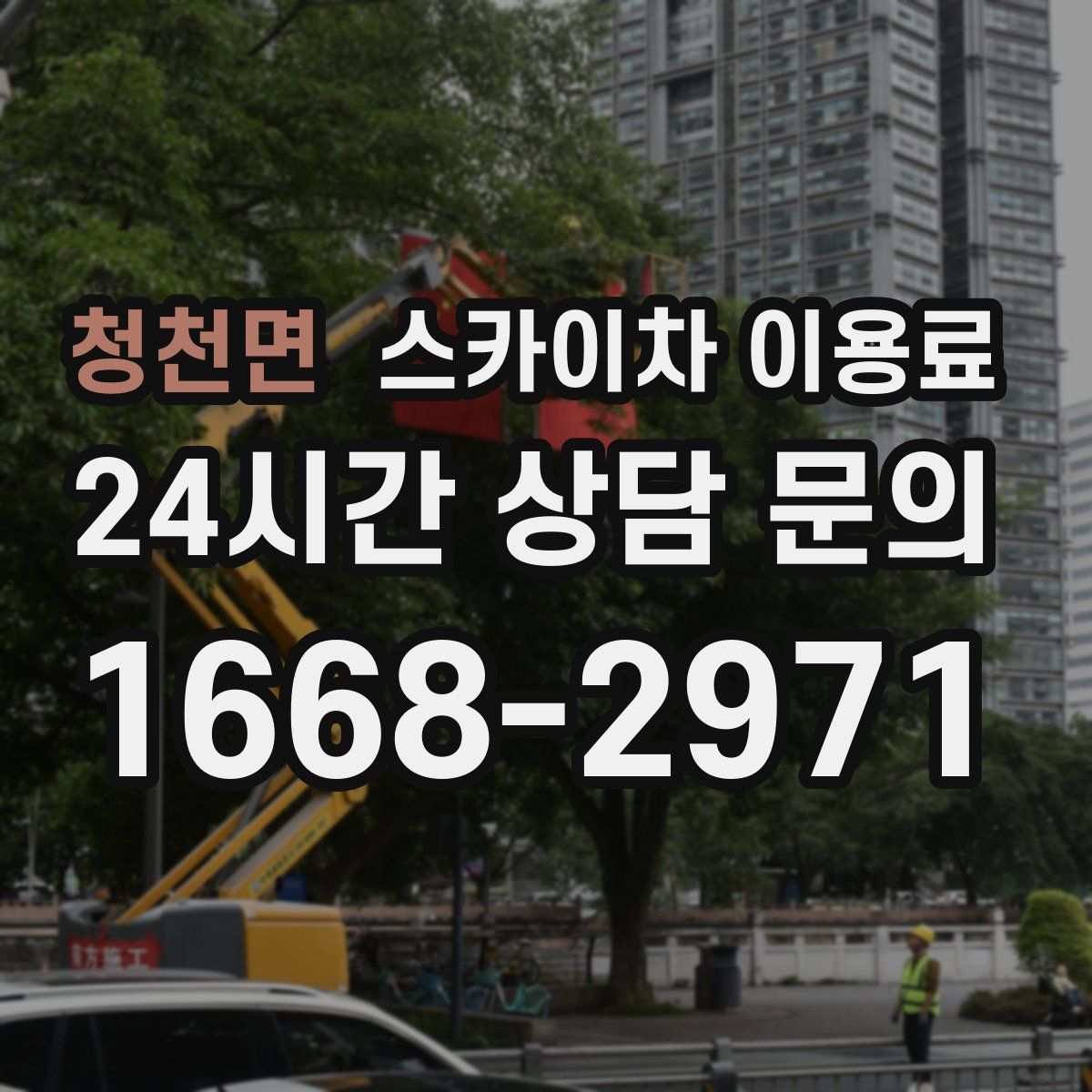 청천면 스카이차 이용료