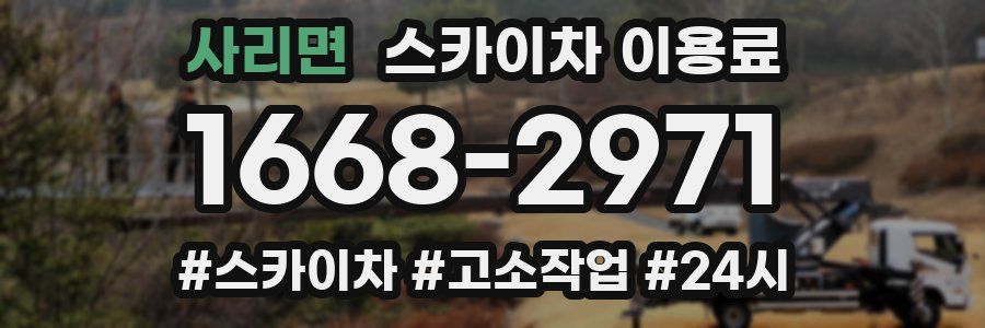 사리면 스카이차 이용료