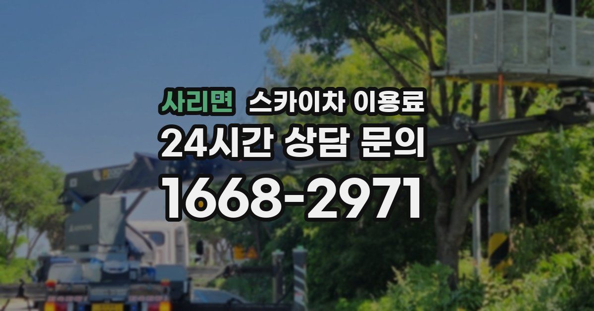 사리면 스카이차 이용료