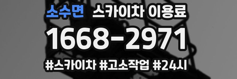소수면 스카이차 이용료