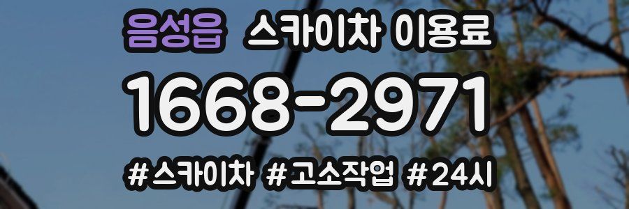 음성읍 스카이차 이용료