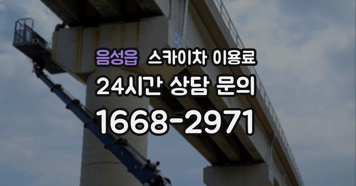 음성읍 스카이차 이용료