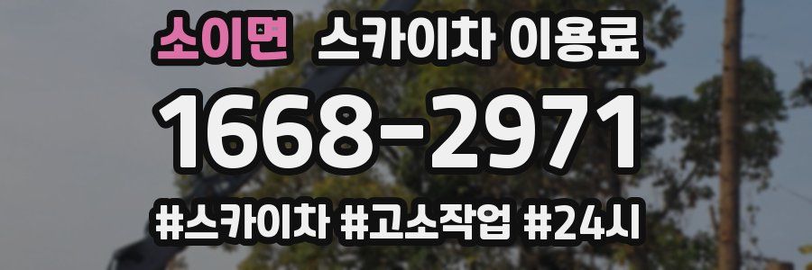 소이면 스카이차 이용료