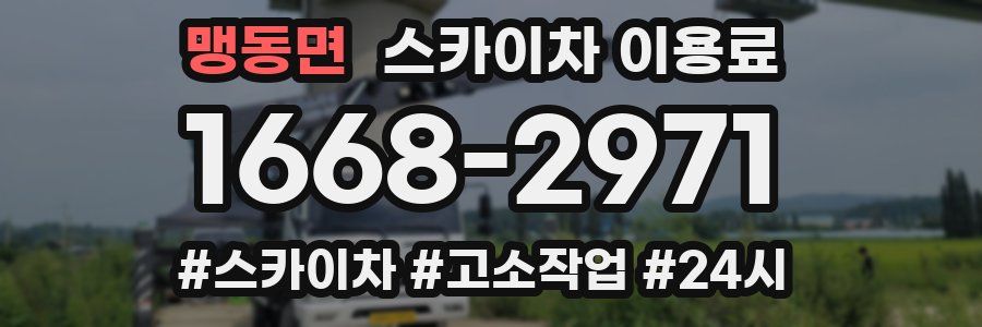 맹동면 스카이차 이용료