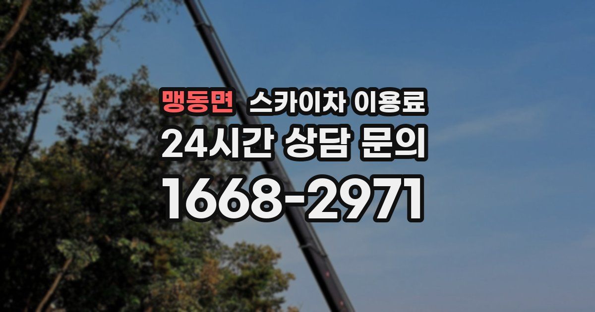 맹동면 스카이차 이용료