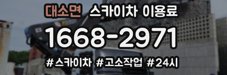 대소면 스카이차 이용료