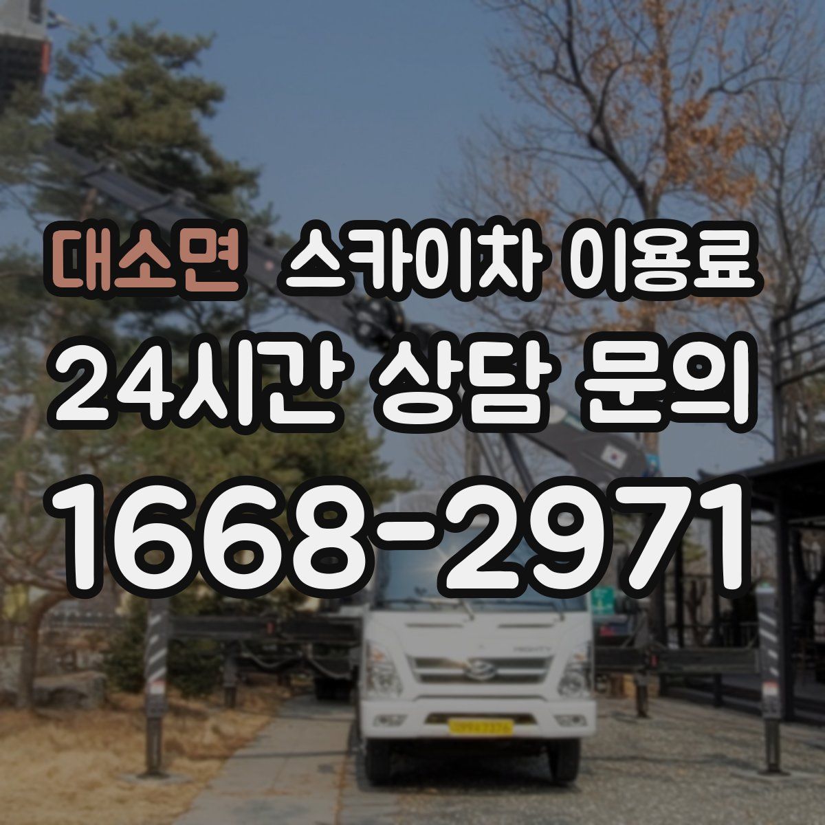 대소면 스카이차 이용료