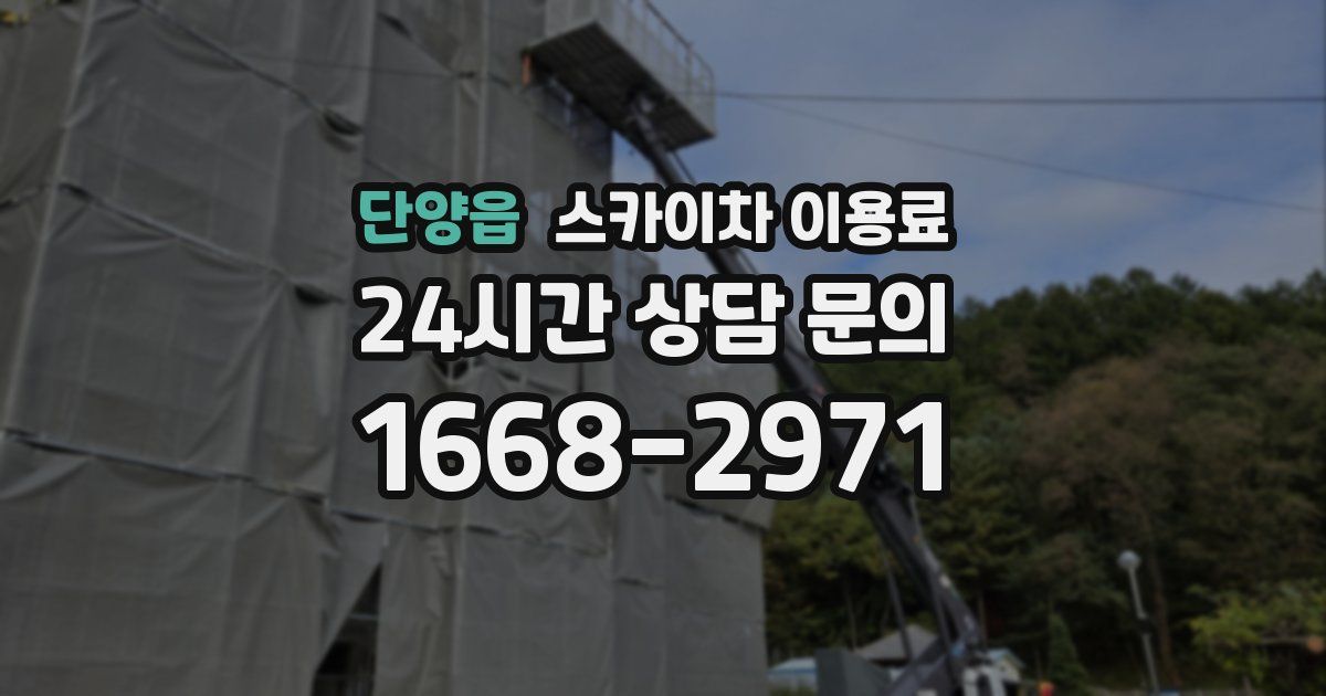 단양읍 스카이차 이용료