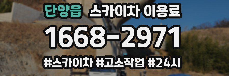 단양읍 스카이차 이용료
