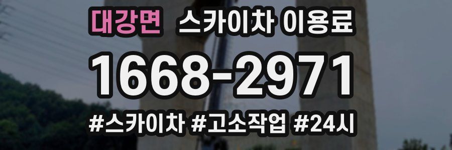 대강면 스카이차 이용료