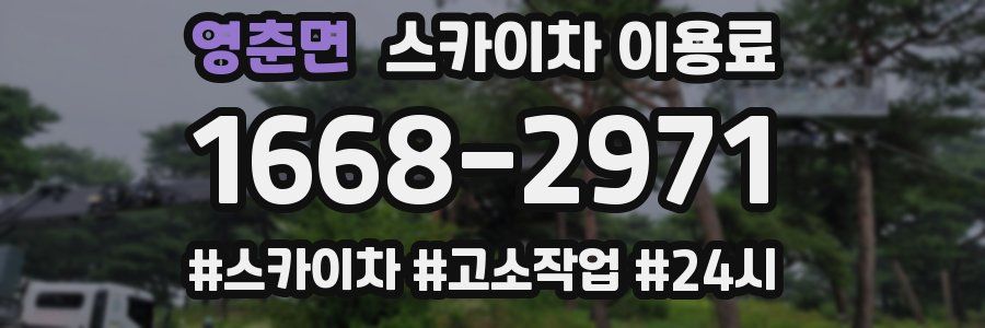 영춘면 스카이차 이용료