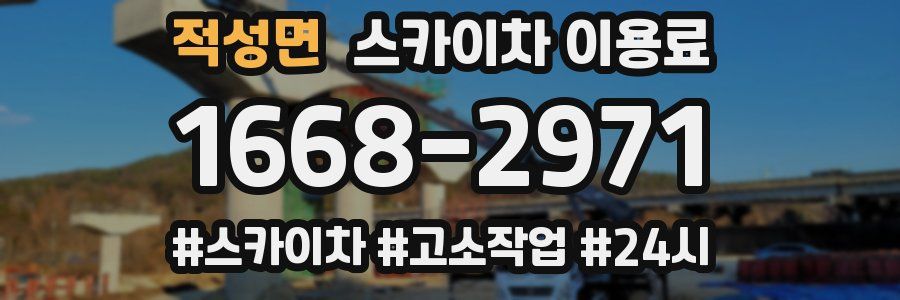 적성면 스카이차 이용료