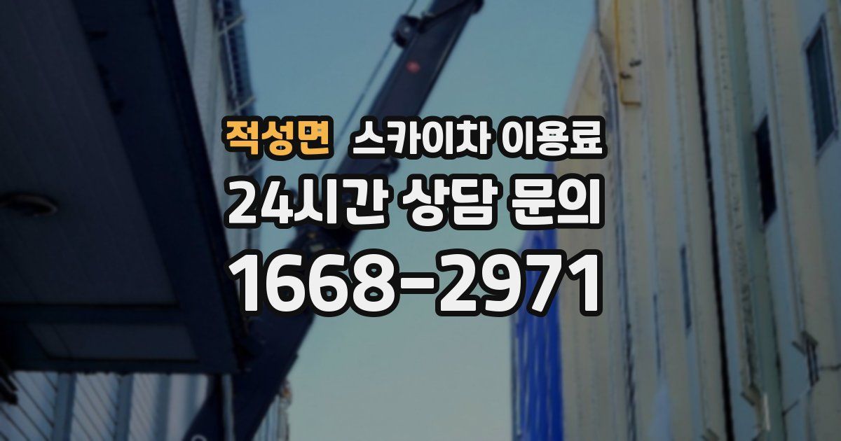 적성면 스카이차 이용료