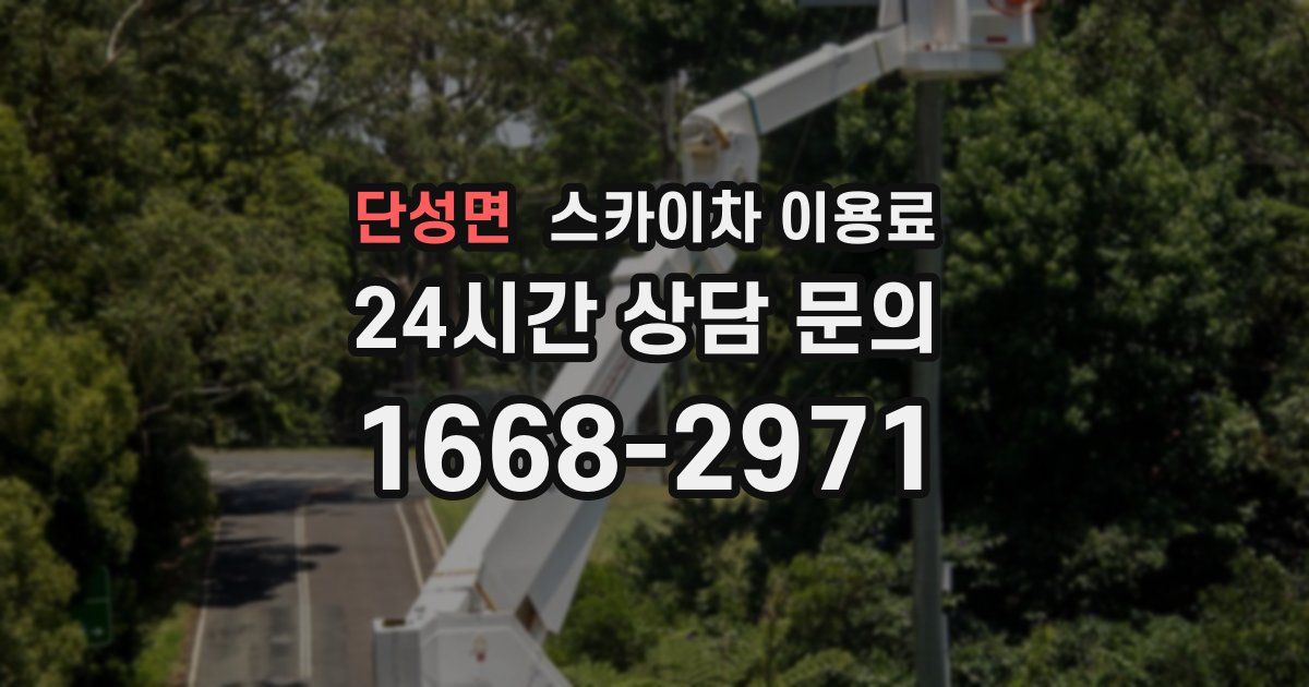 단성면 스카이차 이용료