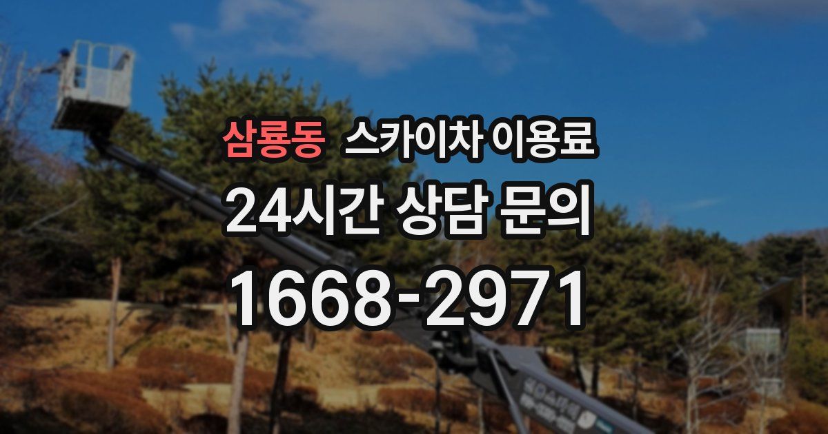 삼룡동 스카이차 이용료