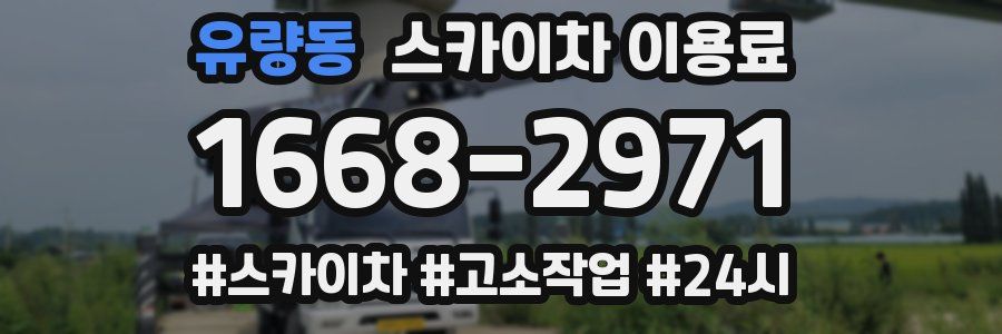 유량동 스카이차 이용료