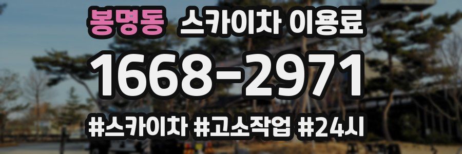봉명동 스카이차 이용료
