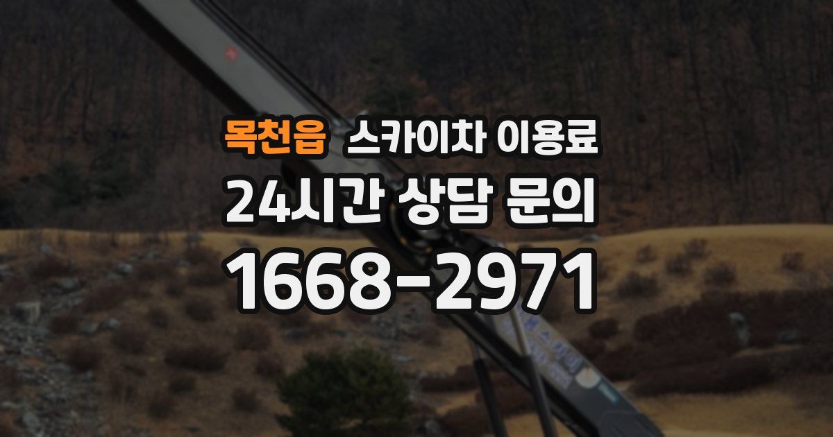 목천읍 스카이차 이용료
