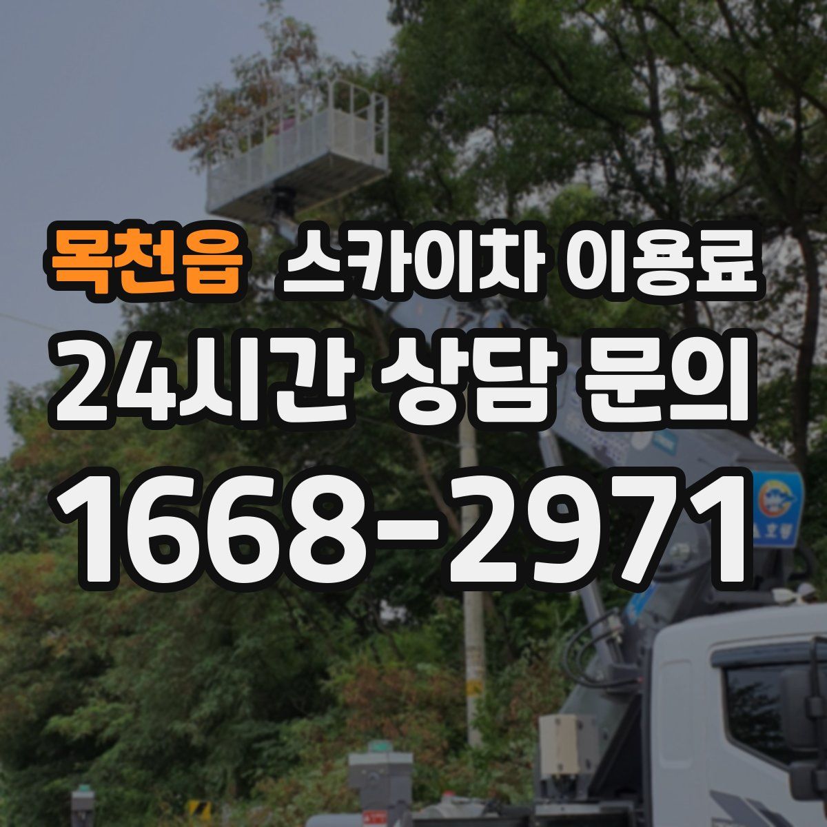 목천읍 스카이차 이용료