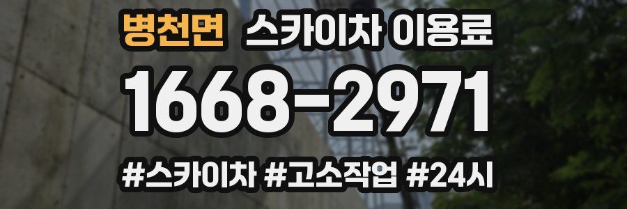 병천면 스카이차 이용료