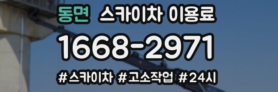 동면 스카이차 이용료