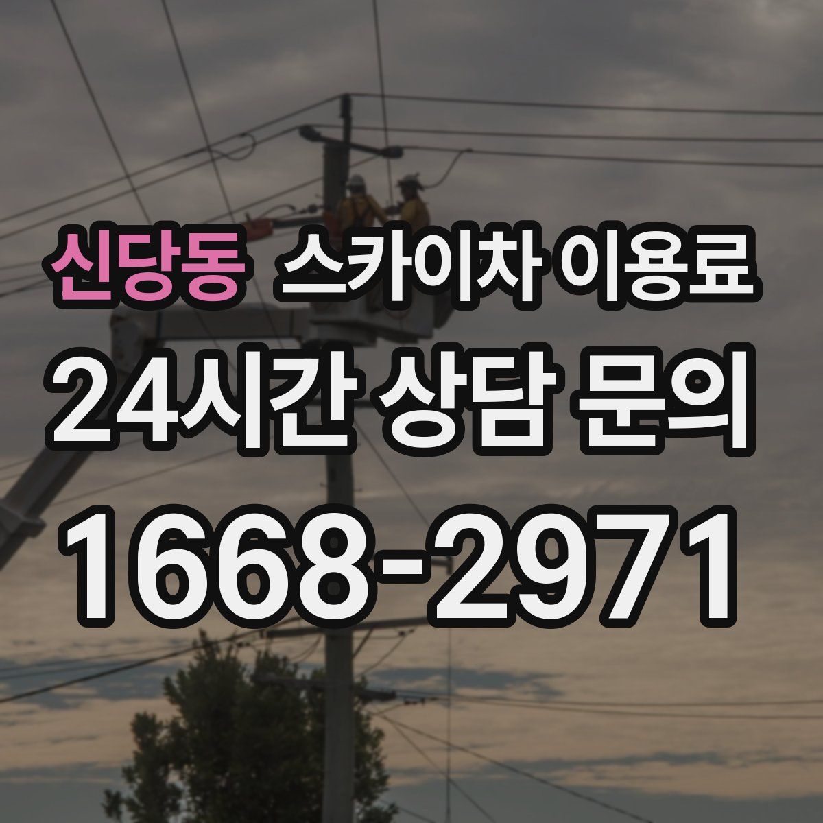 신당동 스카이차 이용료