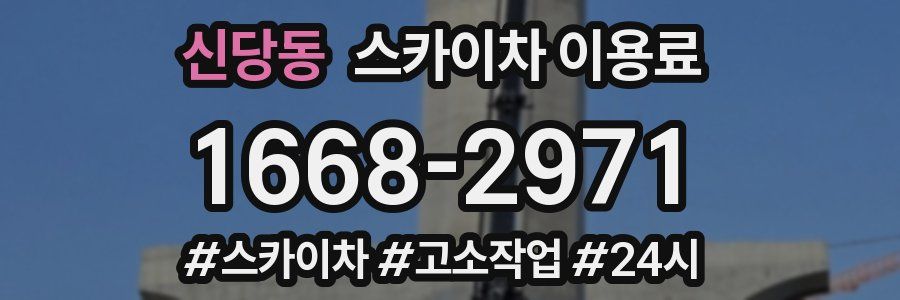 신당동 스카이차 이용료