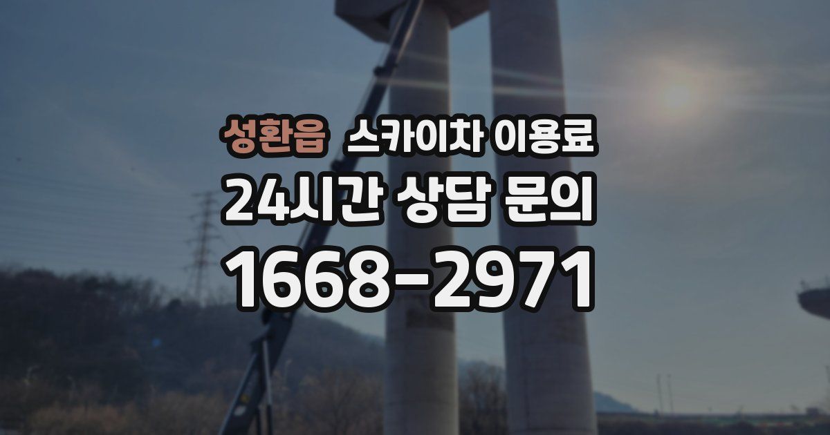 성환읍 스카이차 이용료