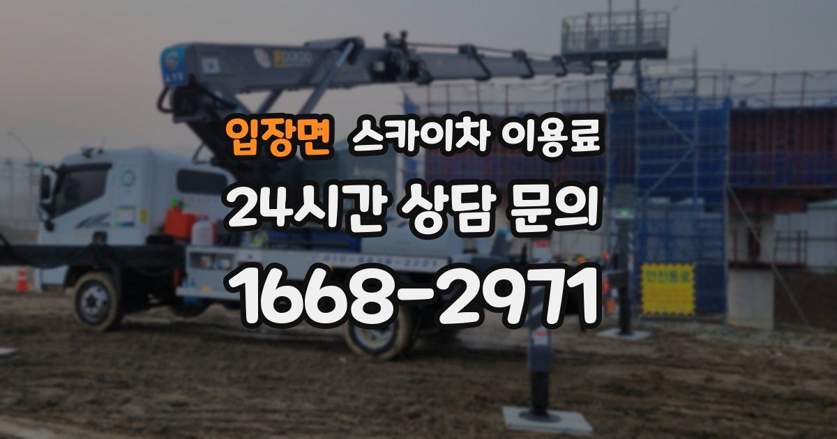 입장면 스카이차 이용료